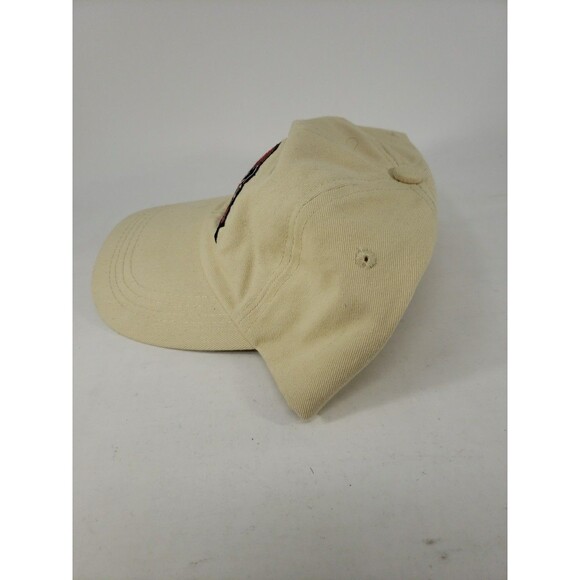 Arizona Diamondbacks 10th Anniversary Baseball Hat 1998-2008 Chase AZ Dbacks - Picture 4 of 13